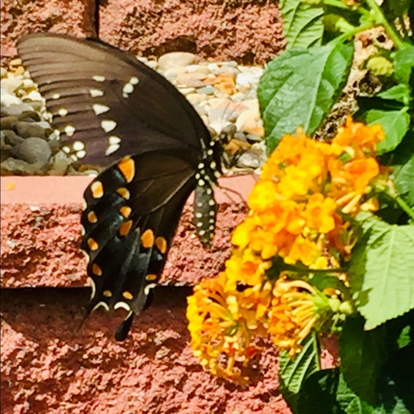 Meet your Posher, Halina - Picture 16 of 16